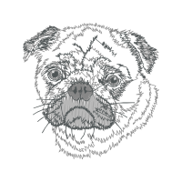 Brussels Griffon Animals