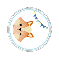 Buffalo Elementary School Of Technology Animals