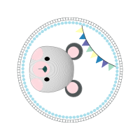 Buffalo Elementary School Of Technology Animals