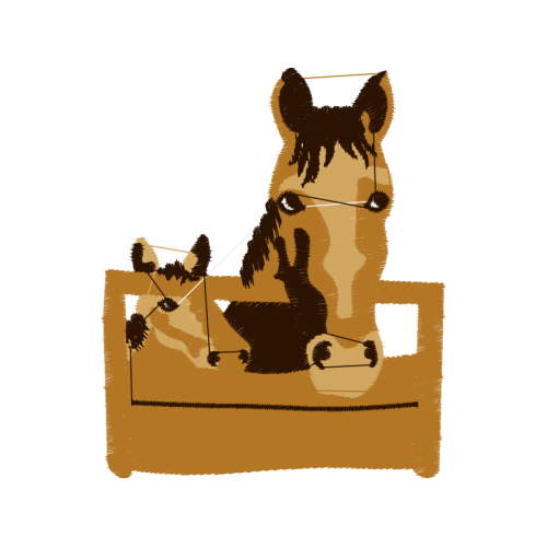 Bull Terrier Animals Bull Terrier Animals