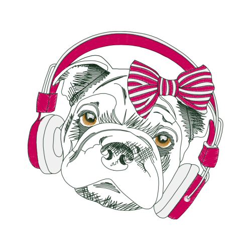 Bulldog Animals Bulldog Animals