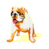 Bulldog Animals