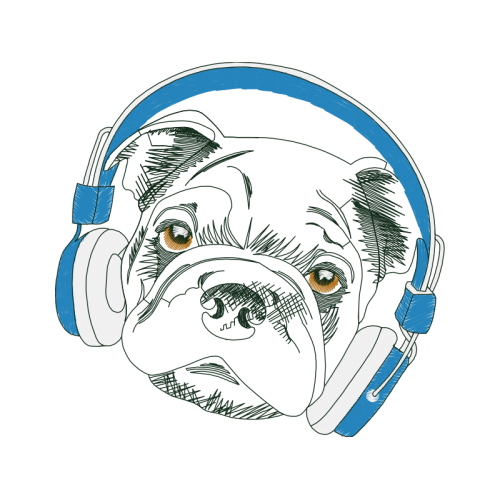 Bulldog Animals Bulldog Animals