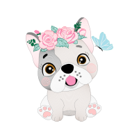 Bulldog Animals Bulldog Animals