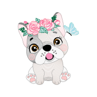 Bulldog Animals Bulldog Animals