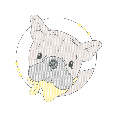 Bulldog Animals Bulldog Animals