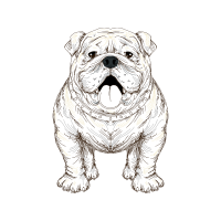 Bulldog Animals