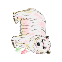 Bulldog Animals Bulldog Animals