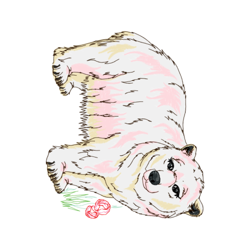 Bulldog Animals Bulldog Animals