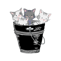 California Spangled Animals California Spangled Animals