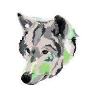 Canadian Inuit Dog Animals Canadian Inuit Dog Animals