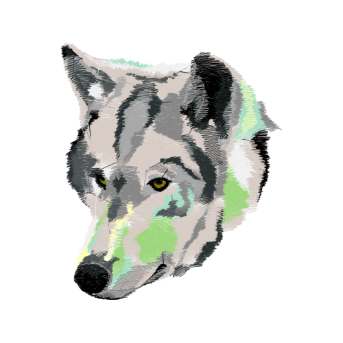 Canadian Inuit Dog Animals Canadian Inuit Dog Animals