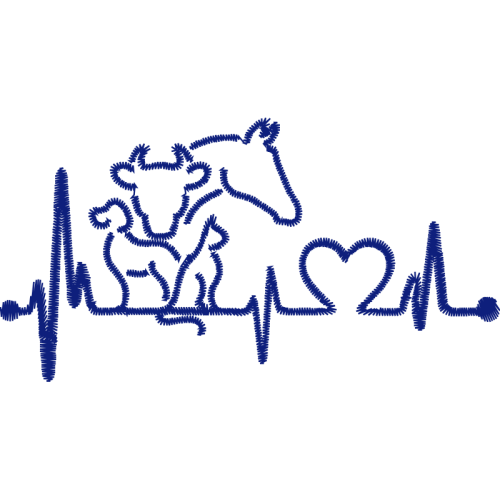 Car Animals Car Animals