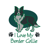 Cardigan Welsh Corgi Animals Cardigan Welsh Corgi Animals