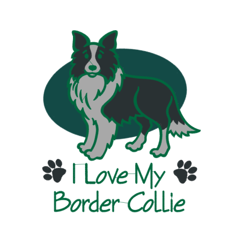 Cardigan Welsh Corgi Animals Cardigan Welsh Corgi Animals