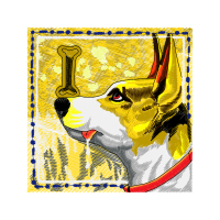 Cardigan Welsh Corgi Animals Cardigan Welsh Corgi Animals