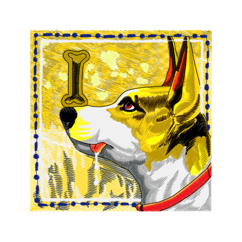 Cardigan Welsh Corgi Animals