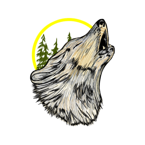 Carnivore Animals Carnivore Animals