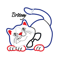 Cat Animals Cat Animals