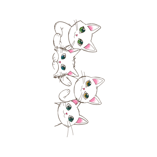 Cat Animals Cat Animals