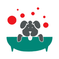 Cat Animals Cat Animals