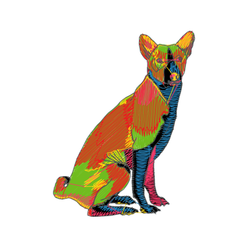 Cat Animals Cat Animals