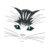 Cat Animals Cat Animals