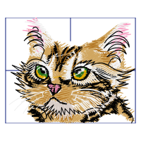 Cat Animals Cat Animals