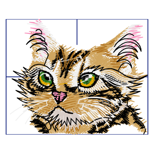 Cat Animals Cat Animals