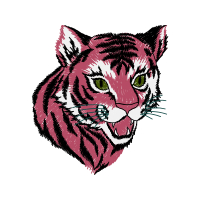 Cat Animals Cat Animals