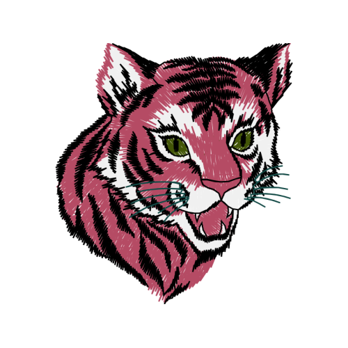 Cat Animals Cat Animals