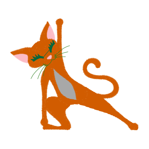 Cat Animals Cat Animals