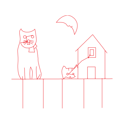 Cat Animals Cat Animals