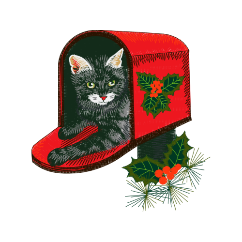 Cat Animals Cat Animals