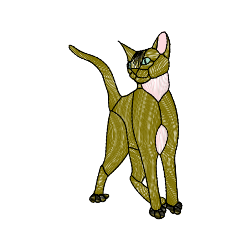 Cat Animals Cat Animals