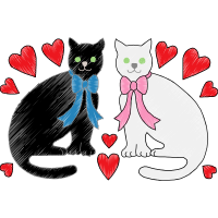 Cat Animals Cat Animals