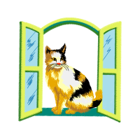 Cat Animals Cat Animals