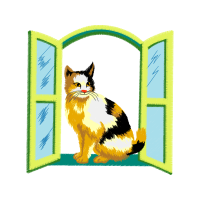 Cat Animals Cat Animals