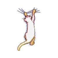 Cat Animals Cat Animals