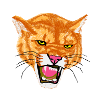 Cat Animals Cat Animals