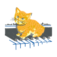 Cat Animals Cat Animals