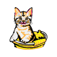 Cat Animals Cat Animals