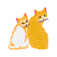 Cat Animals Cat Animals