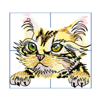 Cat Animals Cat Animals