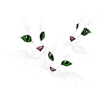 Cat Animals Cat Animals