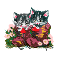 Cat Animals Cat Animals