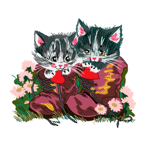 Cat Animals Cat Animals