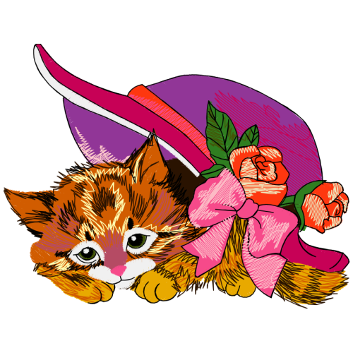 Cat Animals Cat Animals