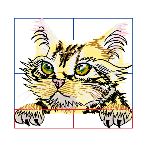 Cat Animals Cat Animals