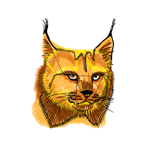 Cat Animals Cat Animals